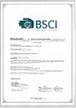 BSCI