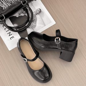 Mary Jane Shoe Style 008